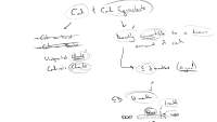 Cash and Cash Equivalents